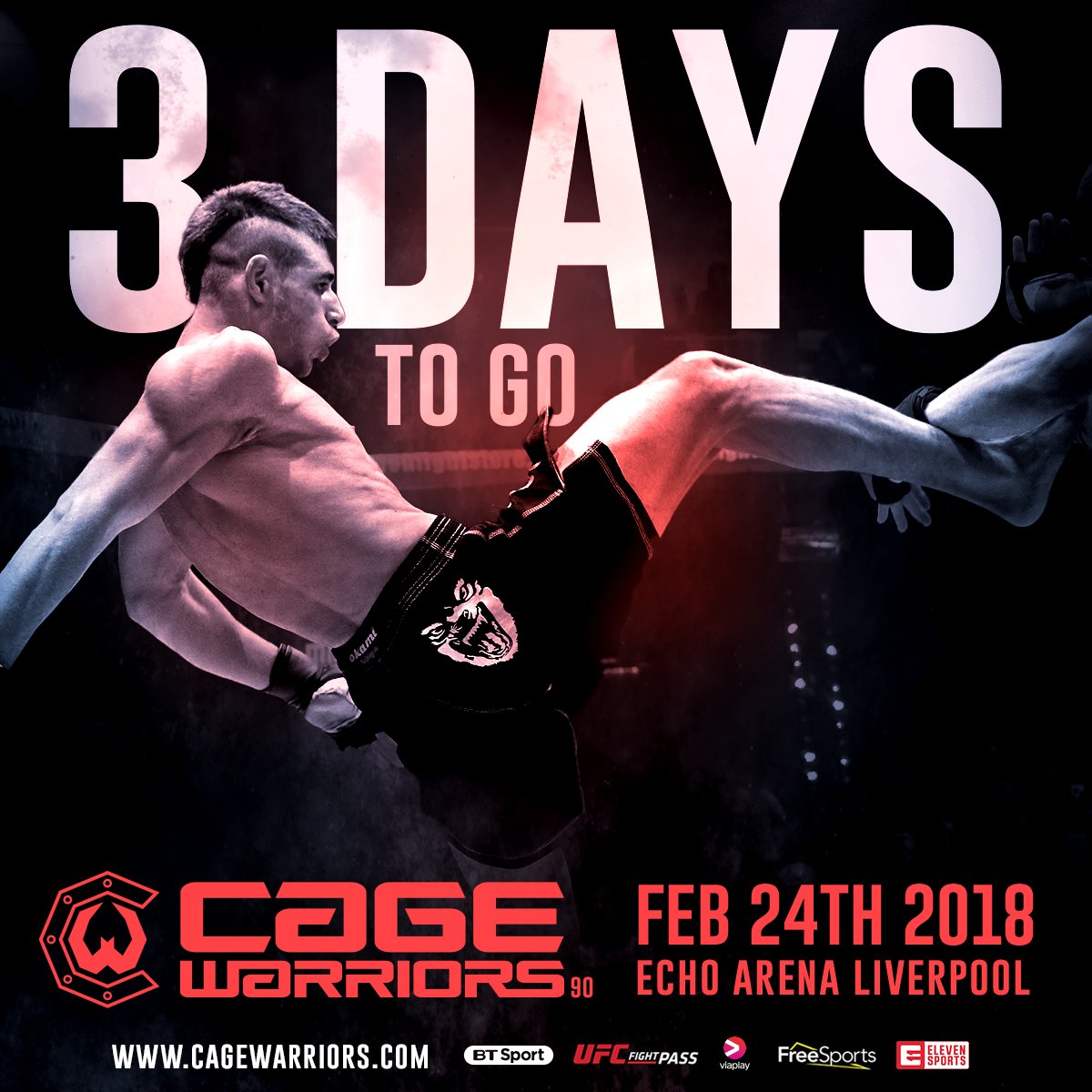 CageWarriors's tweet photo. In 3 days, the talk is OVER. 😱

#CW90 https://t.co/1txqIkwdca