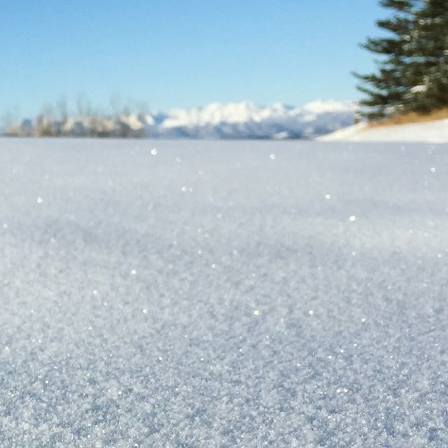 LeightonCentre's tweet photo. It's a super sparkly morning in the Foothills! Come for the views and the art (not to mention the amazing staff, hee hee)... only 4 days left to enjoy 'Vistas, Visions & Viewpoints'.
.
Open today through Saturday, 10 am - 4 pm.
.
.
.
#leightonartcentre #sparkly #winterfields… https://t.co/jzR3e5njOd