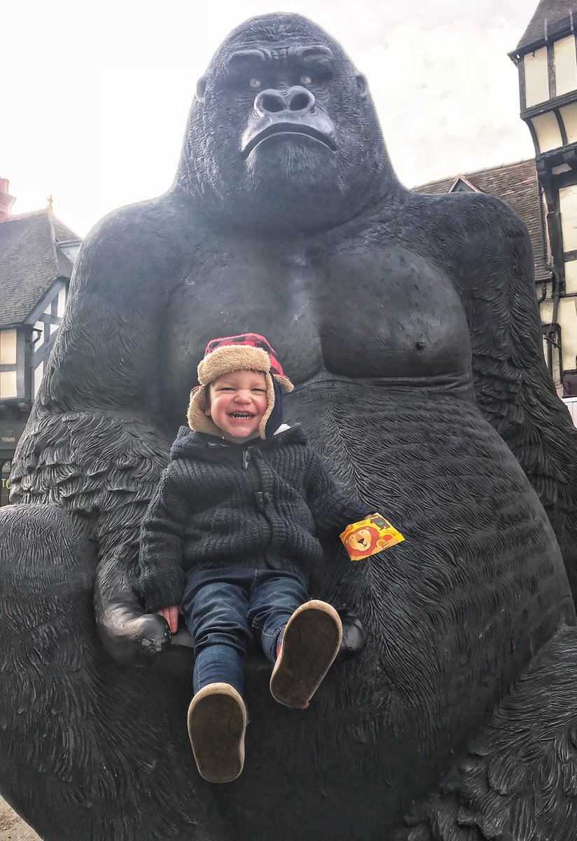 Salopsbfg's tweet image. #wildcop