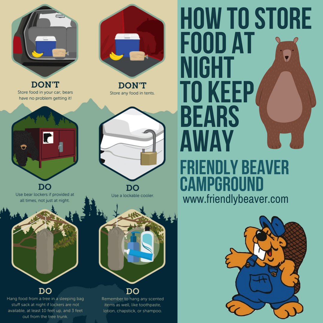 fbcampground's tweet image. It's important to make sure you and your family are safe when your camping. Keep the bears away with these tips for storing your food!

 #FriendlyBeaverCampground #Camping #GoAdventuring #StaySafe #FamilyTime #BearSafely