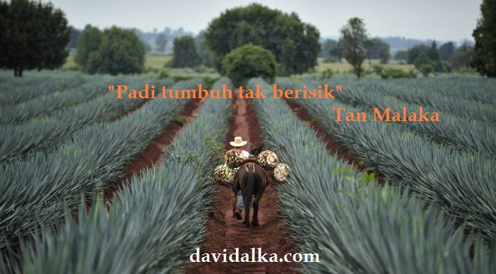 SerambiBuya's tweet image. "Padi tumbuh tak berisik" Tan Malaka I Bagus dibaca tulisan Peneliti Senior Maarif Institute ini "Pesan Kemanusiaan dari Dunia Pertanian" goo.gl/zwpv2F