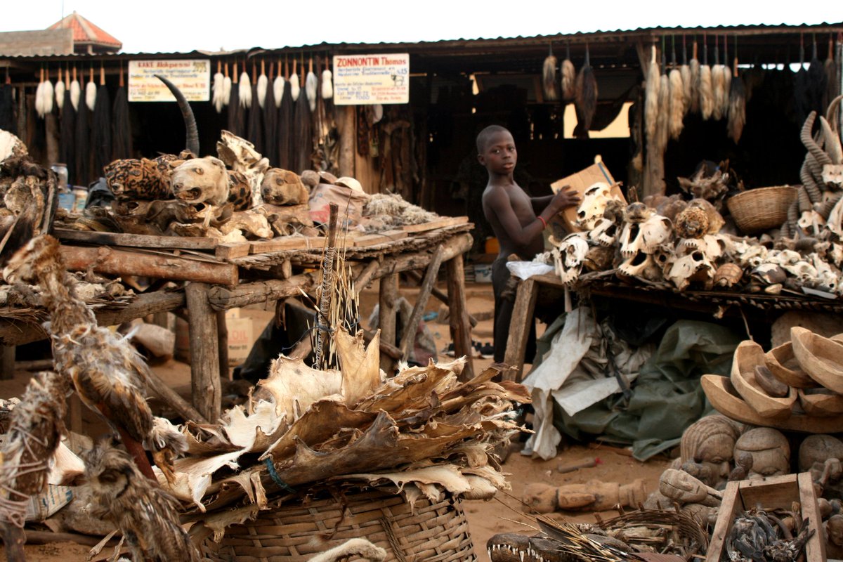 Image result for Akodessawa Fetish Market