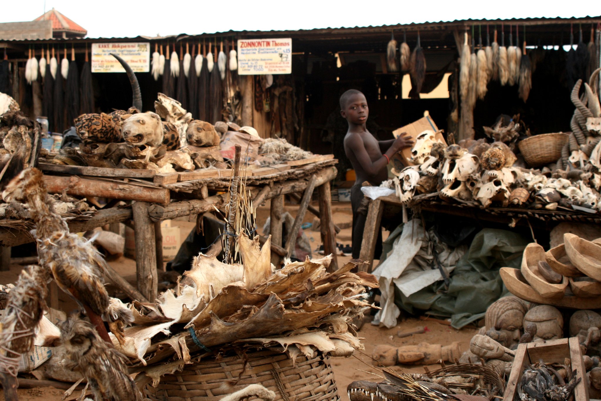 Africa Facts Zone The World S Largest Juju Market The Akodessawa Fetish Market In Lome Togo Has An Annual Budget Of Around 10 Million T Co 6sgtgktwzo Twitter