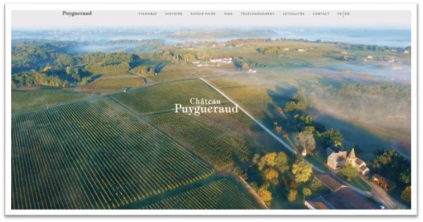 #Château #Puygueraud new website, beautiful family legacy and wonderful wines to discover and re-discover !
#cotesdefrancs

puygueraud.com/en/