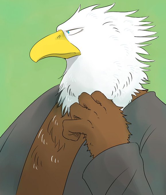 白頭鷲のtwitterイラスト検索結果