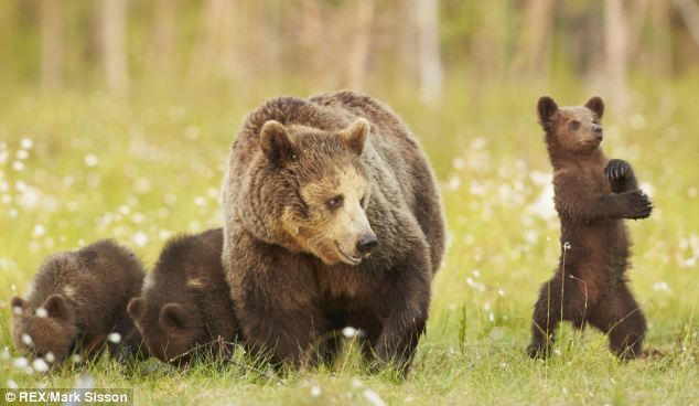 When your whole class is on task and that one kid be like... #teacherprobs
