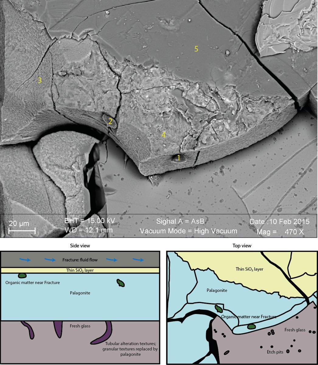 PLOSONE's tweet photo. Research from @marum_de suggests a relationship between texture diversity and age of volcanic glass collected in #IODP #Exp330 #Exp336 https://t.co/0SWDjVoBj2 https://t.co/kH9XbJh8Fp