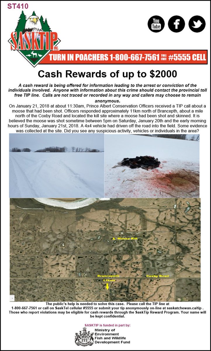 Sasktip's tweet image. Let's help solve this case from the Brancepth, SK area! If you have any info call the TIP line 1-800-667-7561 or report online at saskatchewan.ca/tip. #sktip