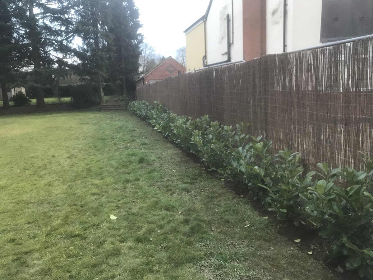 MGoddardSwoogel's tweet photo. Busy days on putting up #Gardenscreening #Hedgeplanting and #Turflaying #Supplyandplant using the trusted #empathy #Rootgrow 
#Goddardsgardenservices https://t.co/73eAaikIYl
