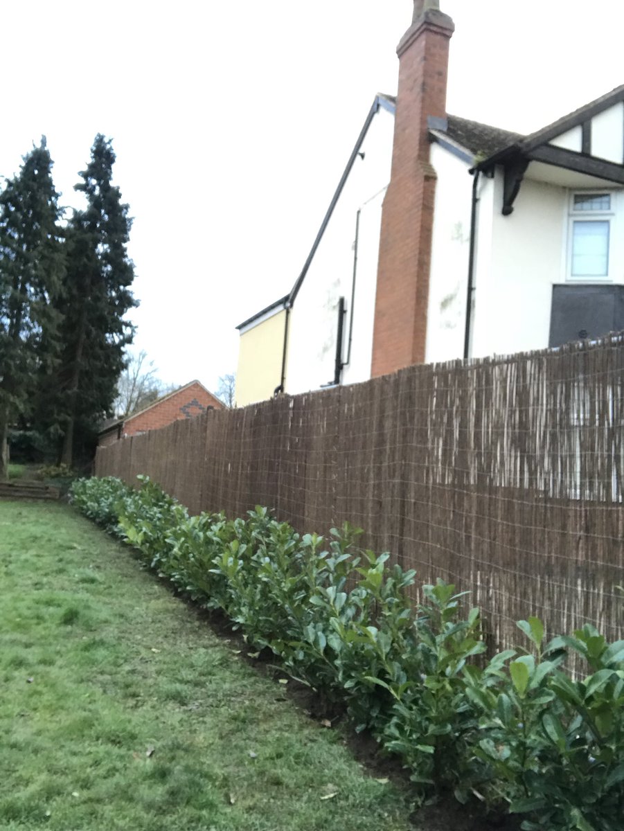 MGoddardSwoogel's tweet photo. Busy days on putting up #Gardenscreening #Hedgeplanting and #Turflaying #Supplyandplant using the trusted #empathy #Rootgrow 
#Goddardsgardenservices https://t.co/73eAaikIYl