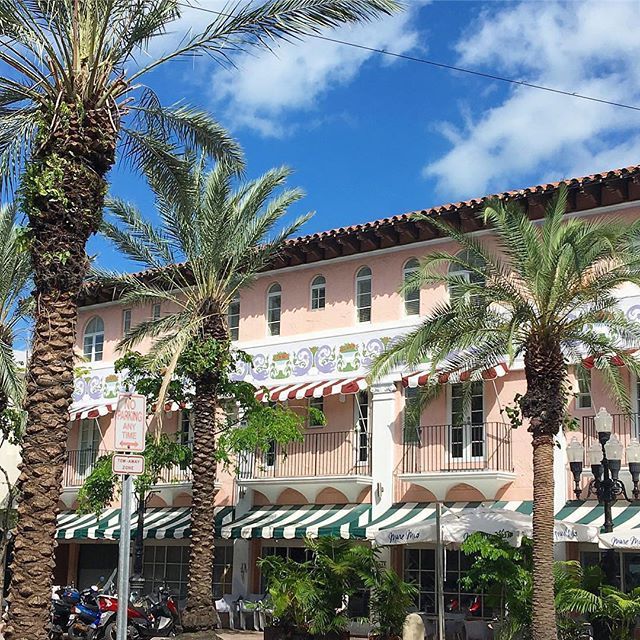 The Miami Guide tweet media