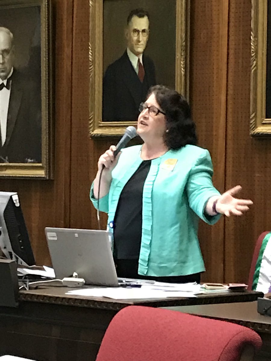 P2Hannley's tweet image. .@MitziEpstein goes after @JDMesnard‘s #capitalgains income tax that will give millions to the richest Arizonans &amp;amp; take the money from general fund &amp;amp; public education. Giving taxes away is not a #sustainable econ development. It is unfair &amp;amp; #bad4az. @AZHouseDems @Indivisible_SAZ