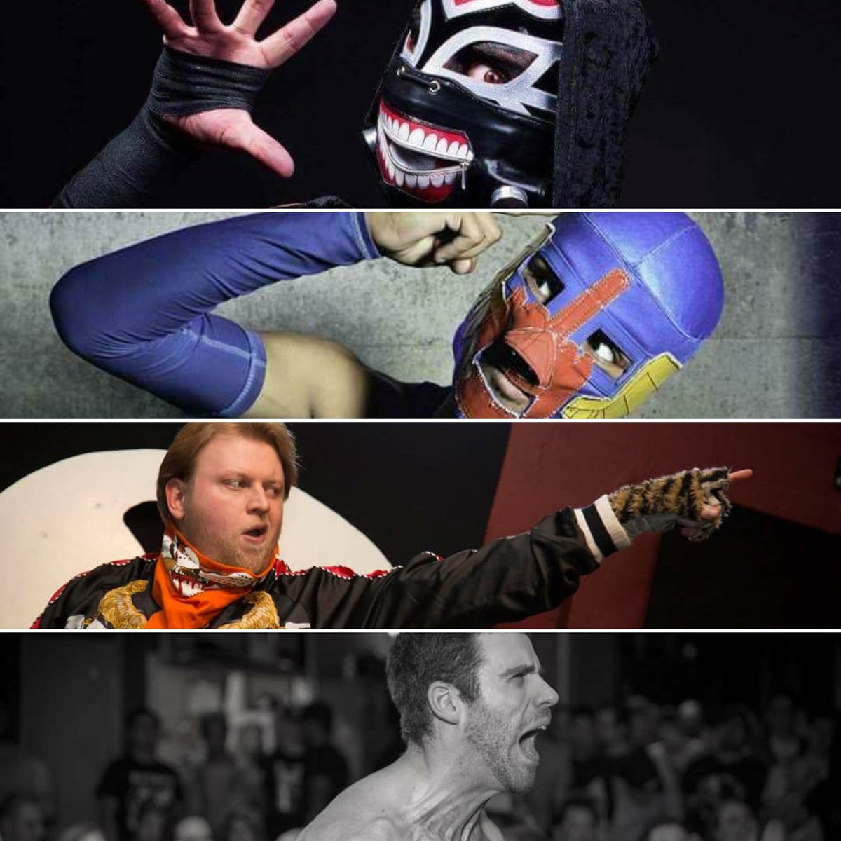 321battle's tweet photo. A challenge has been laid down by the furriest team in the Battle Palace, and the high-flying duo accepted! Friday night, Big Cat Scott Henson & Kaden Talbain square off against Seattle Underground Wrestling Champion, Sonico, and the holder of the Battalion Medallion, The Bird. https://t.co/vSoWwWvIsl