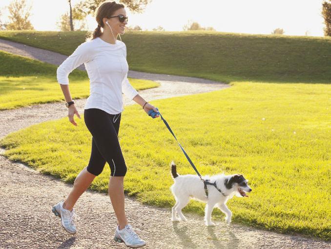 FNaceCorazon's tweet image. Tener un perro suele implicar realizar una mayor actividad física, como caminar, lo que podría explicar la reducción del riesgo cardiovascular.
La Asociación Americana del Corazón ha publicado una nota en la que afirma.
Pasea a tu perro y cuida tu salud.