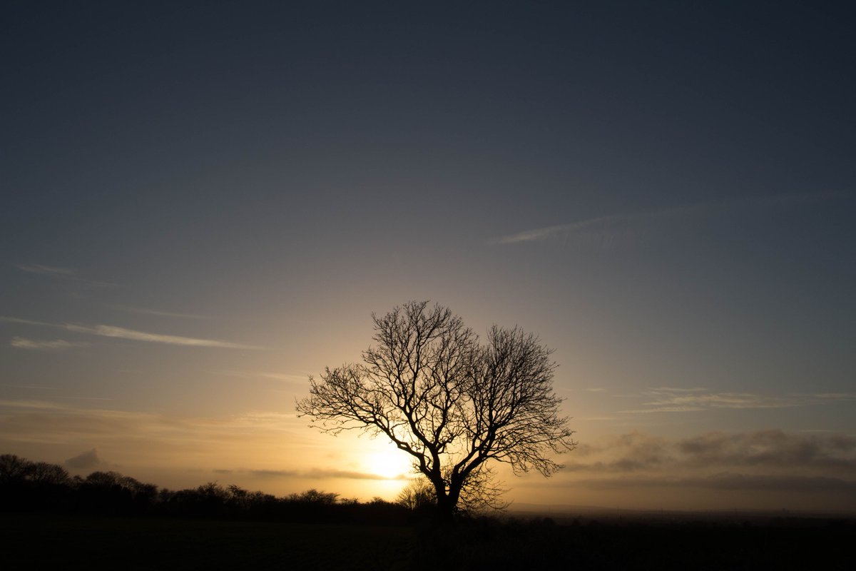 simoncwoodley's tweet photo. "The sunset trees" The sun goes down on a lovely day in North East England. @StormHour @EarthandClouds https://t.co/HLdUkqZ5nN