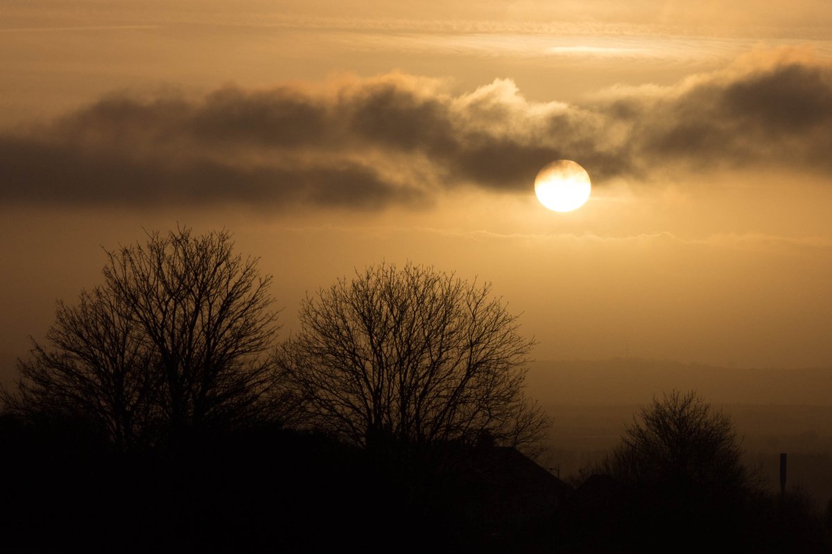 simoncwoodley's tweet photo. "The sunset trees" The sun goes down on a lovely day in North East England. @StormHour @EarthandClouds https://t.co/HLdUkqZ5nN