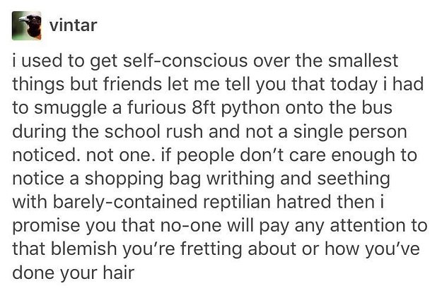 14 Tumblr Posts That Are Actually Kinda Helpful And Reassuring buzz.seventeaswithmilk.com/site/shawn-boo… #ShawnBooth