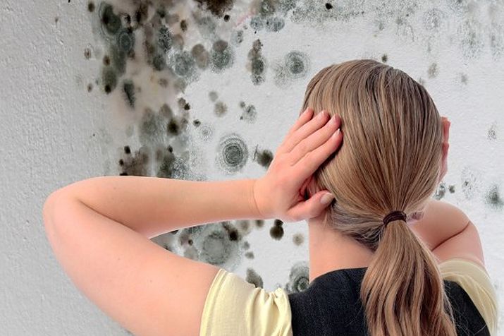 EnviroDecon's tweet photo. Should you remove the mold yourself?  Check this out!  It's not as easy a decision as you might think!  #EnviroDeconServices  https://t.co/QSfVXkQhxC https://t.co/qiW3W0NApC