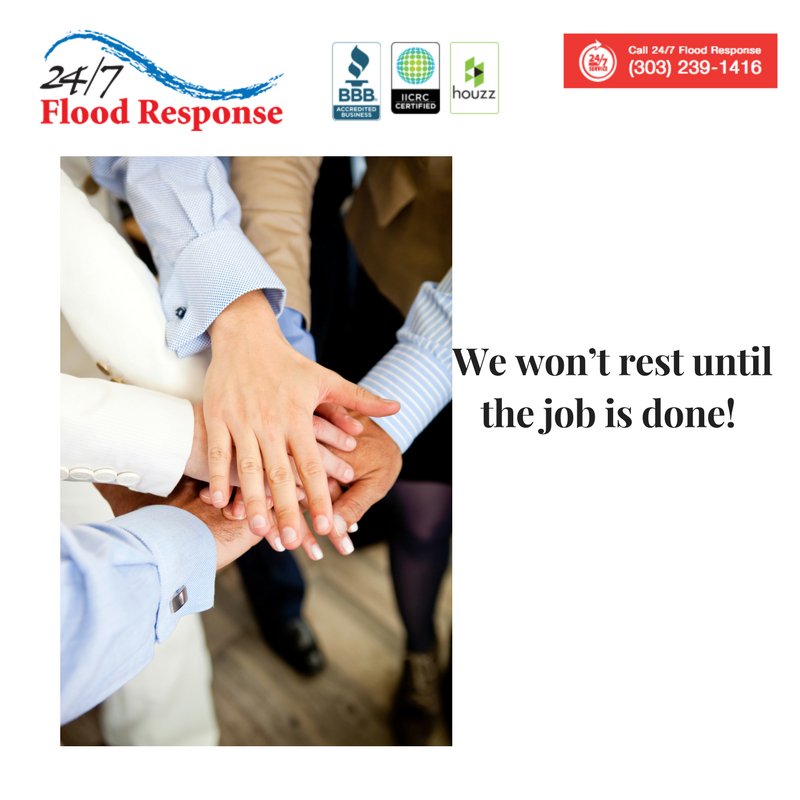 24FloodResponse's tweet photo. We offer professional Asbestos abatement services. Contact us today. #SafeDenver #Denver #Colorado #FloodResponse #247FloodResponse #Asbestos #AsbestosAbatement https://t.co/B9rCTm2fPC