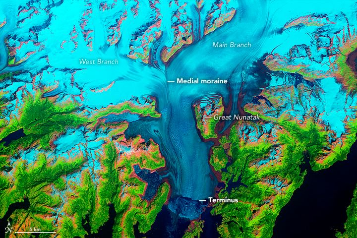 ASUGovDocs's tweet image. What climate change means for glaciers, storms, fires, clouds and more #climatechange @NASAClimate buff.ly/2EIBcWz