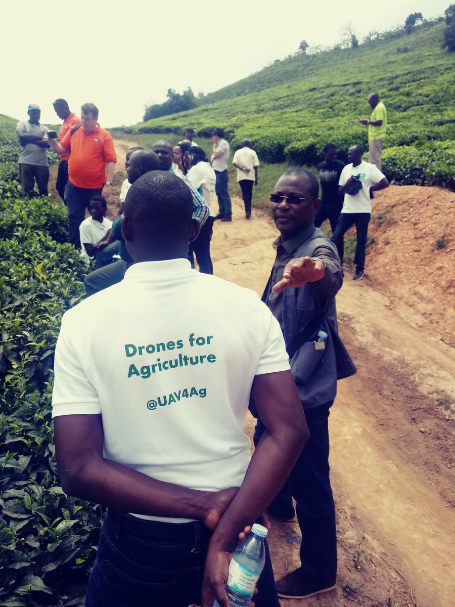 AcobiDC's tweet photo. Smallholder farmers in Igara appreciate use of Drone Technology for Field Monitoring and Geo-Mapping Tea Plantations owned by Smallholder Farmers in Igara-Uganda. @MUIIS_U @CTAflash_fr @CTAflash https://t.co/edezn4bjvp