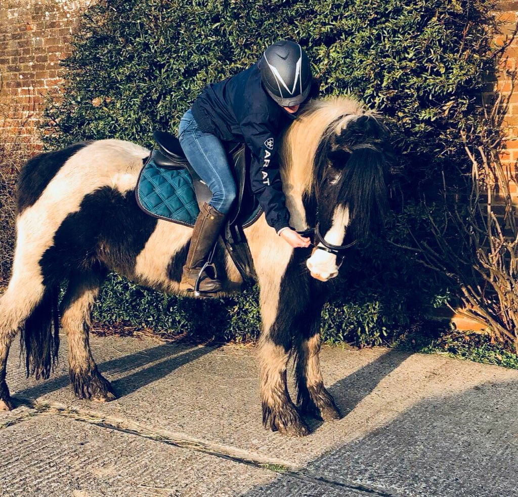 PCSO_Tomkies's tweet photo. Horsing around on my Annual Leave ❤️🐴 https://t.co/2agfdyD9ca