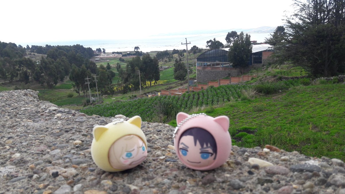 criimsonsnow's tweet photo. Took these guys with me on a trip again, this time to Puno and Cusco. Not many pics 😭
#jjyuri #pliroy #Jユリ #jjyurio #pliroyshipperandproud👊 https://t.co/FTg4UwHpPC
