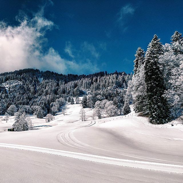 michael_backes's tweet image. Swiss winter landscape (5/7): St.Margrethenberg. Probably there again this weekend. 🌞

#inlovewithswitzerland #heidiland #swisslandscape #winterlandscape #snowlandscape #winterwonderland #wanderlust #stmargrethenberg #pfäfers #badragaz #winterday #instatravel #swissalps