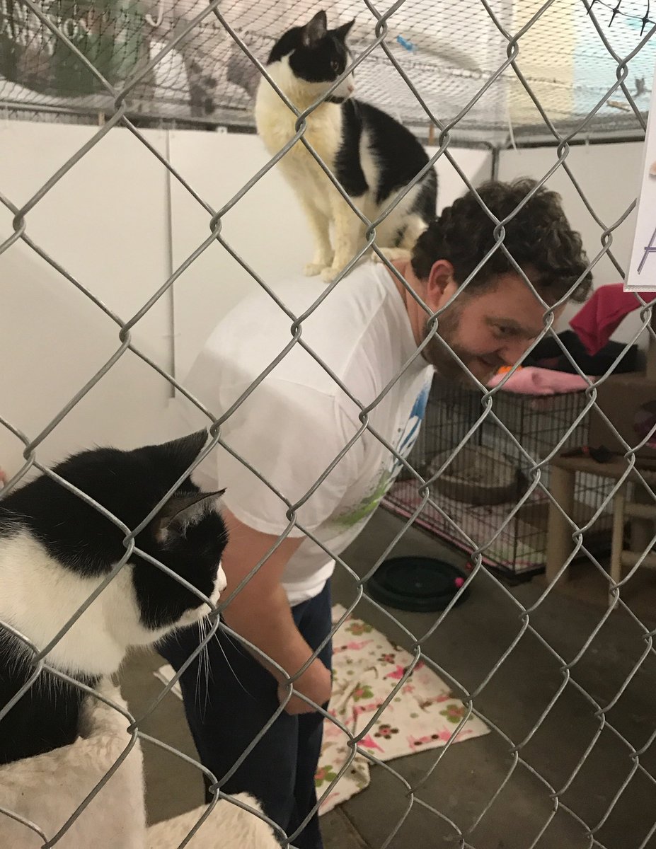 MissoulaPC's tweet photo. Missoula ART Managers volunteering with @AniMeals today. Doris, @HRoehl and @5cottBa11 made some new friends! #TechCareTweets #AdvancedResolutionTeam https://t.co/OoRws4gWgE