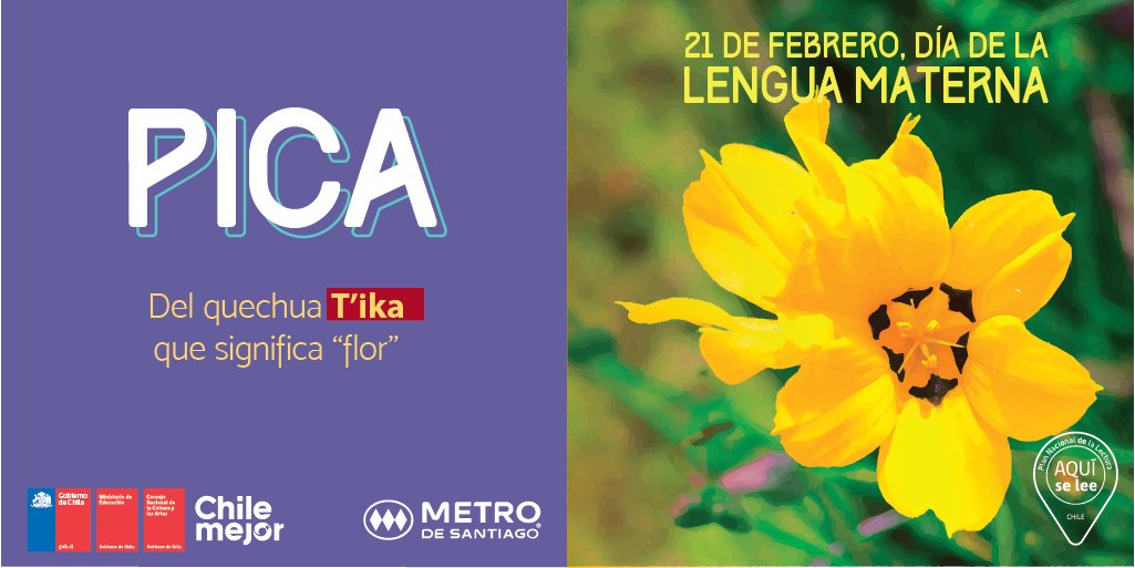 yoestudiocl's tweet photo. Hoy 21 de febrero saludamos a tod@s quiénes mantienen viva nuestra lengua materna! #DíaLenguaMaterna! ❤️ https://t.co/w4Qj8dUtXp