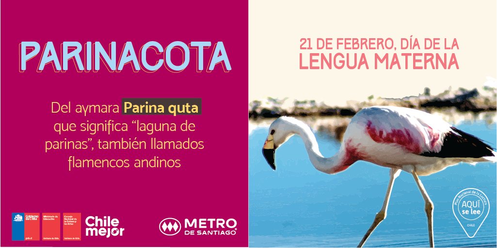 yoestudiocl's tweet photo. Hoy 21 de febrero saludamos a tod@s quiénes mantienen viva nuestra lengua materna! #DíaLenguaMaterna! ❤️ https://t.co/w4Qj8dUtXp