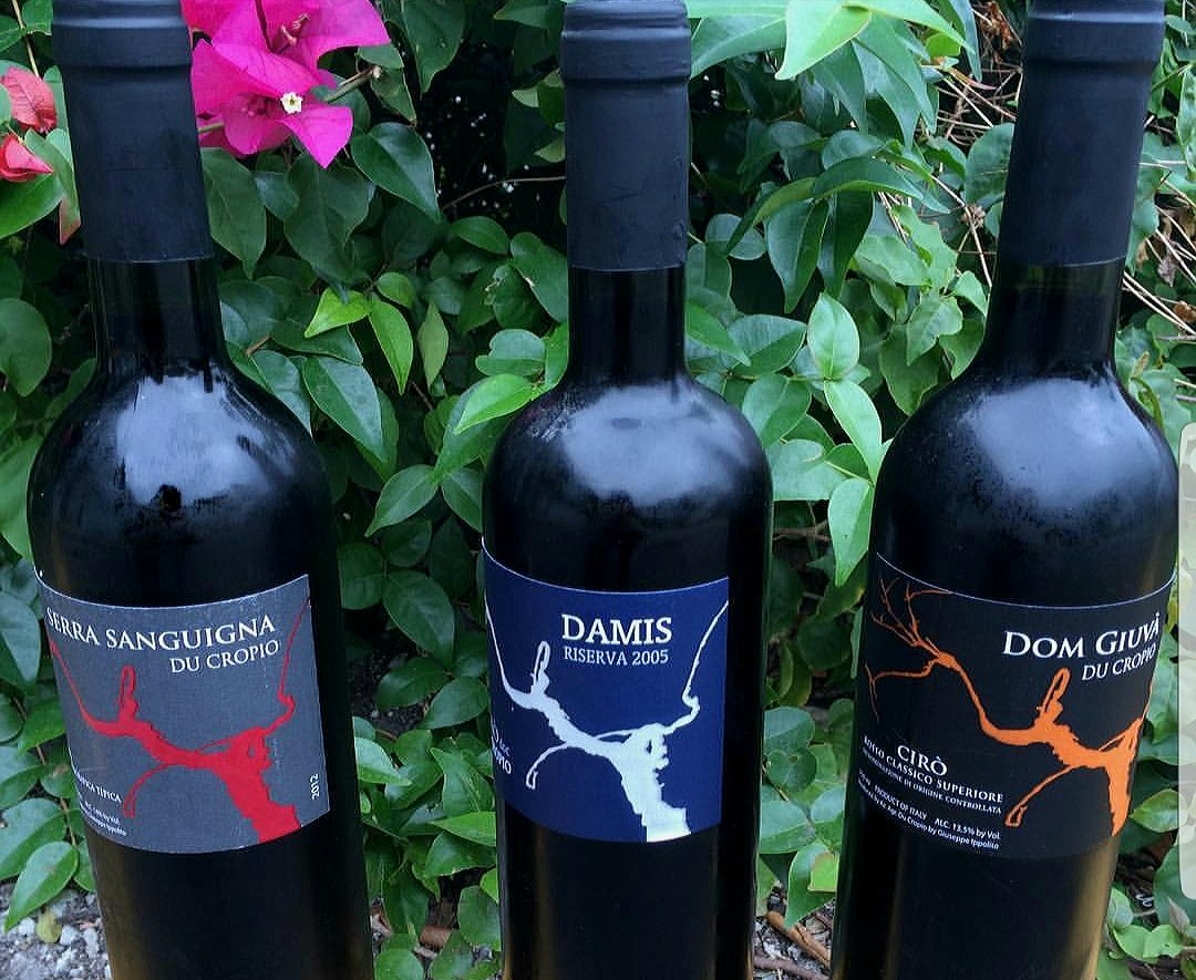 Ducropio's tweet photo. L'eccellenza della terra.... della tradizione.... della passione da 5 generazioni.... in tutti i nostri vini
#DuCropioVinery  #Calabria #gaglioppo #WinWednesday #winelovers #wines #vino https://t.co/jQMQmBH50L