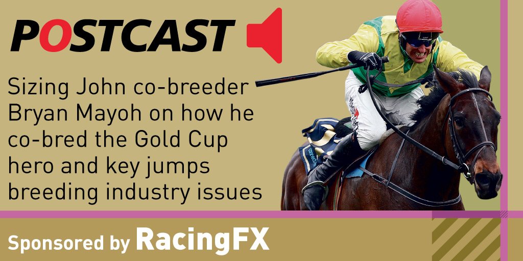 rpbloodstock's tweet photo. Bryan Mayoh, the co-breeder of Gold Cup hero Sizing John, joins James Thomas and Martin Stevens in our latest Postcast https://t.co/Y52rw8e9bB https://t.co/ouAZgjquXl