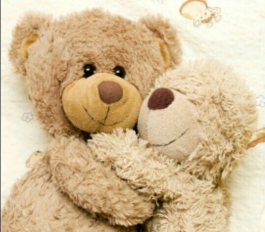 August_Weasley's tweet photo. ✴• αмιs ρσυя тσυנσυяs •✴ https://t.co/F5I3CW6DUh