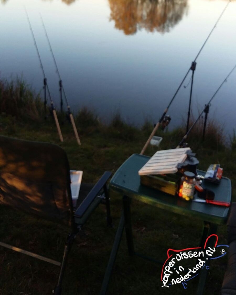 karpervissen (@karpervissennl) on Twitter photo 