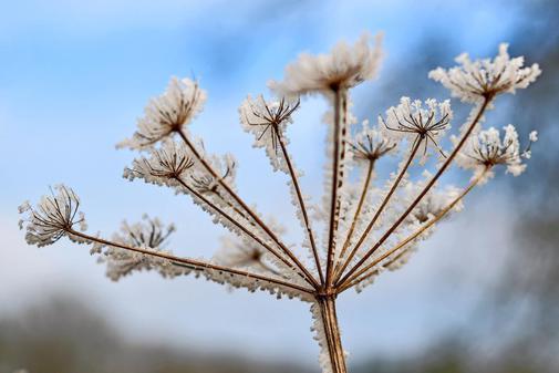 In #Deutschland wird es jetzt bis Minus 20 Grad kalt #winter #wetter ebx.sh/2HAZ9AW https://t.co/dUg9RUAPKq