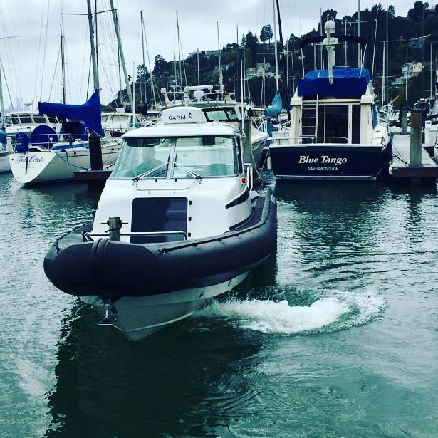 All aboard! .. #protectorboats #anywateranywhere  #rigidinflatableboat #ribboat #powerboats  #rib #escapeandexplore #motorboat #boatinglife #speedboat #powerboat #yachtlife #yachting #onthewater #watersports #sailinglife #luxuryboat #cruisingaround #usab… ift.tt/2sHhZD3