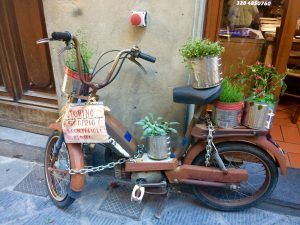 DigiGranBiz's tweet photo. Tuscan Visual Art Boot Camp with Adrienne Geoghegan #artbootcamp #tuscany #italy
https://t.co/SSJ3i5QVHC https://t.co/dS83Fi6SEX