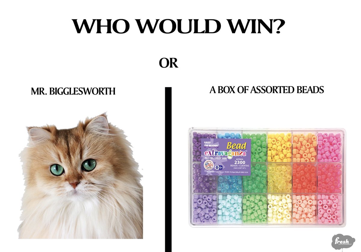 gofreshyourself's tweet image. Survival of the quickest...🐈🏃‍♂️💨

#RaverProblems