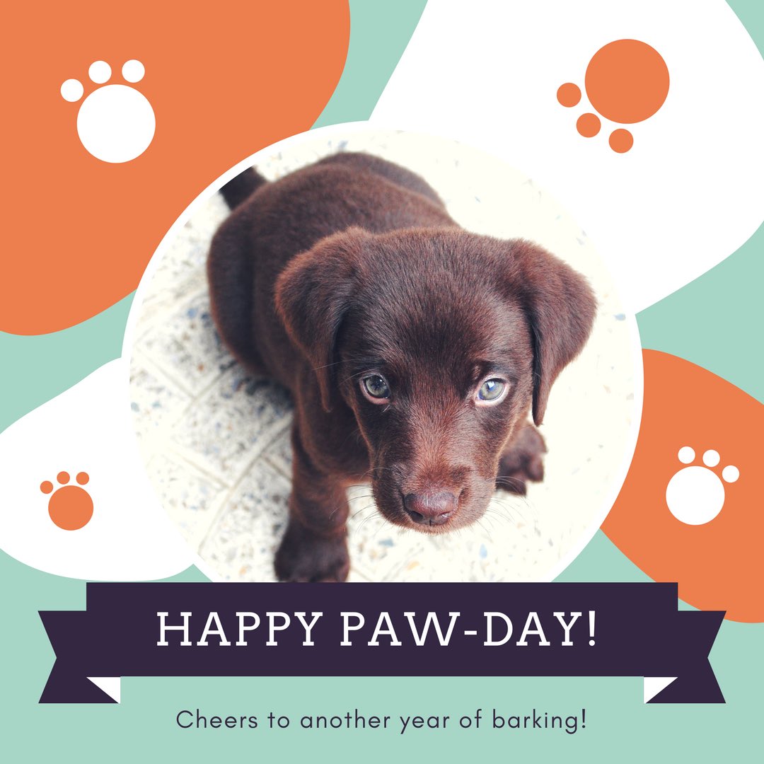 SwimStart1's tweet photo. #woofwoofwednesday https://t.co/TorfRvBBKW