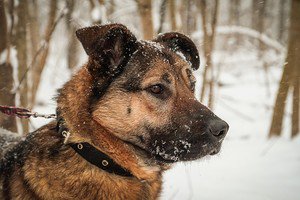 together666's tweet image. KT60d1tTFXw.jpg