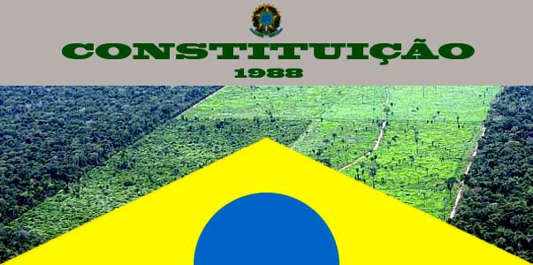 o_eco's tweet image. Novo Código Florestal não revoga a Constituição goo.gl/yzYLpH #ValeAPenaLerDeNovo #CodigoFlorestal