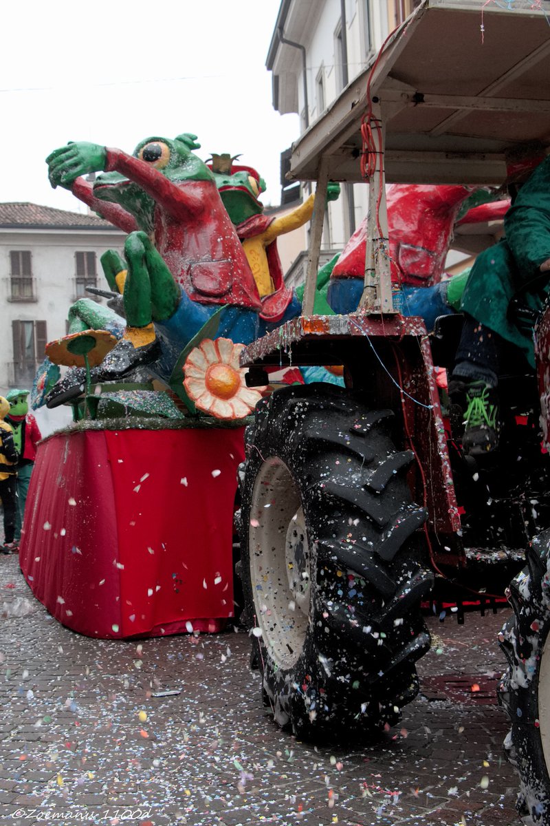 Carnevale Sanpietrino di Abbiategrasso ! #abbiategrasso #canon #canon_official #cyberlink #cittaslow #top_lombardia_photo #lombardia_super_pics #volgolombardia #italia #streetart #streetview #street #carnevale #germogliodelticino #immaginieparole