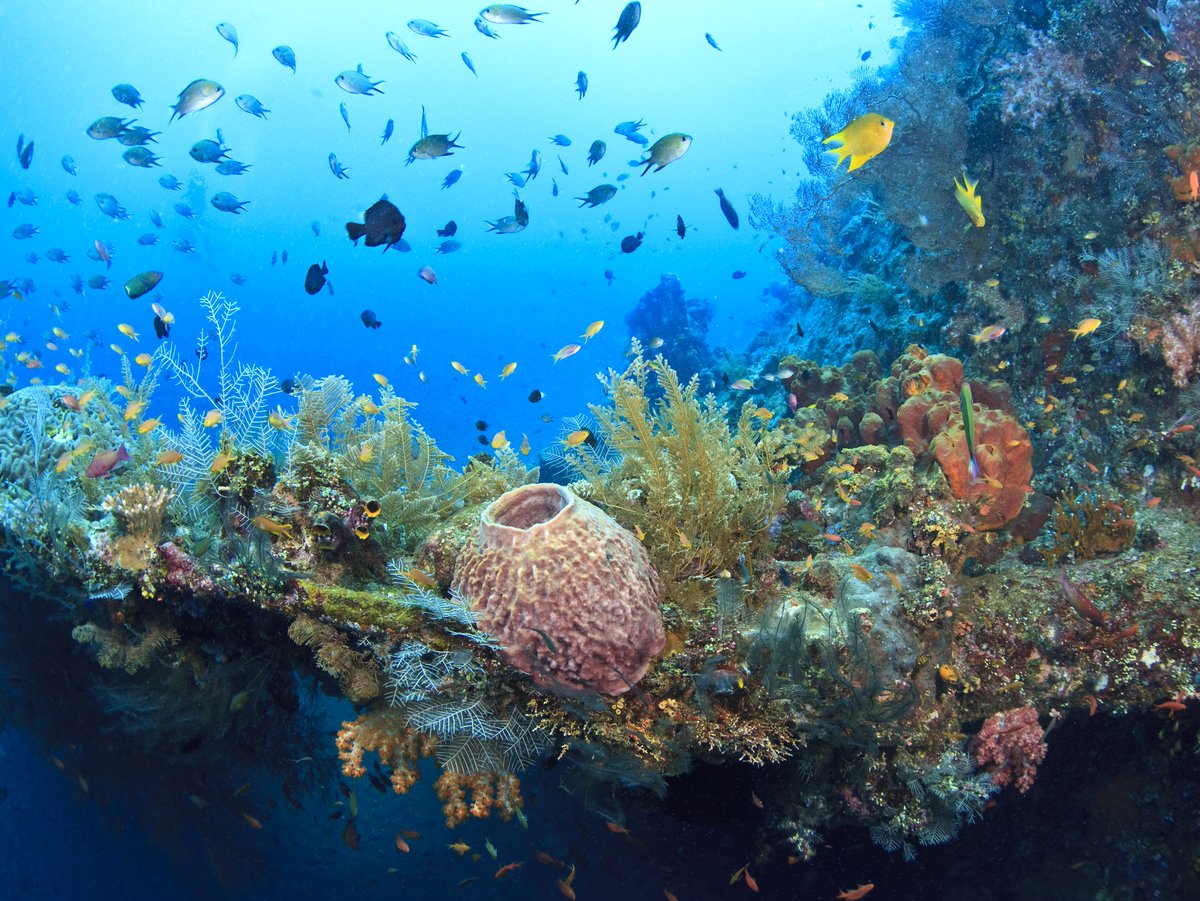 monitor20171's tweet image. 