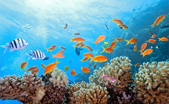 monitor20171's tweet image. 