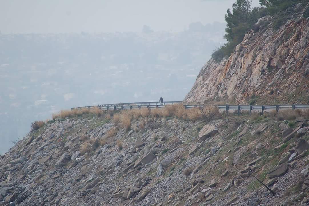 GCHols's tweet photo. #actionshots #trainlikeapro #trainingcamp #cycling #cyclegreece #evia #dontfollowthecrowd #nationalchampion #coach https://t.co/fWEWFwPoum