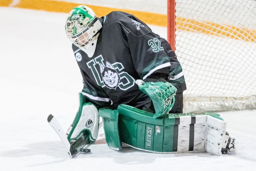 Pack of Dogs Running With Canada West Hockey Elite dlvr.it/QHHw2p https://t.co/X4yTxWBfjs