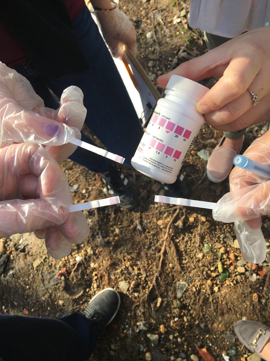 MsMarkowitz's tweet photo. Stricker Green School club is testing the water quality of Bear Creek! @BCPSOutdoorSci @strickerpride @BCPSSci https://t.co/oj1nQgPvD5