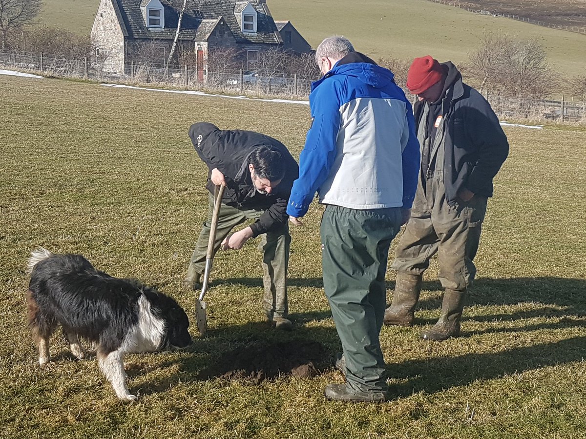 MarrenDeclan's tweet photo. Soil structure is so interesting even the dog had a look #SoilCompaction #SoilHealth #SoilDog https://t.co/yA0h7oHUhQ