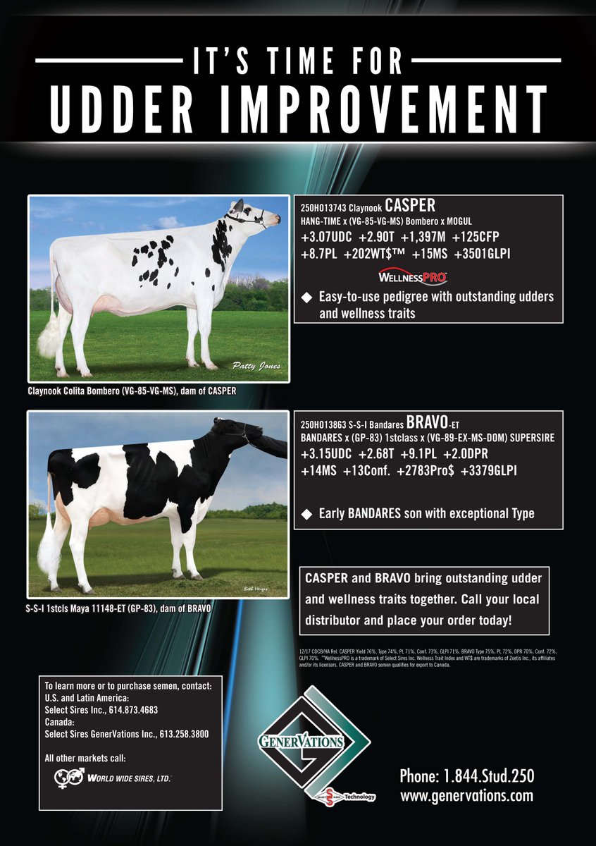 Here are two bulls that transmit outstanding udder and wellness traits! Check out 250HO13743 CASPER and 250HO13863 BRAVO today.
